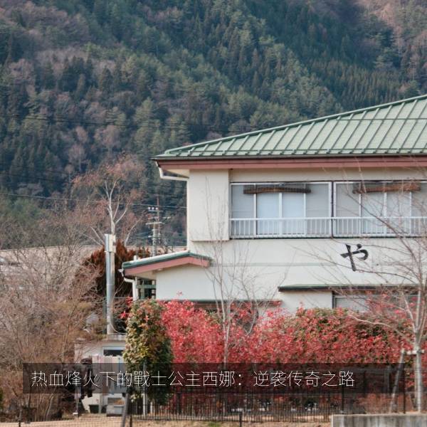 热血烽火下的戰士公主西娜：逆袭传奇之路 海报